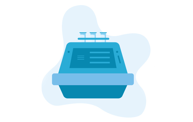 Amplification-PCR